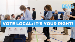 A group of diverse people standing in line to vote in a local election
